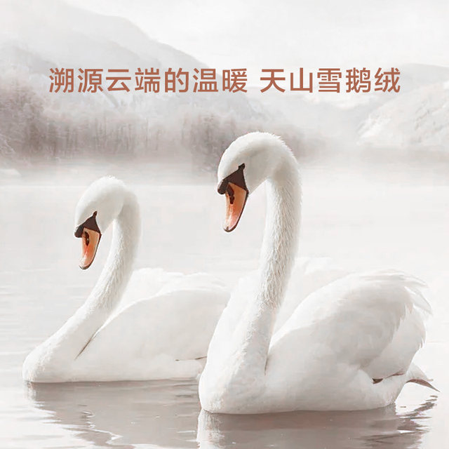 Luolai Home Textiles Down Quilt Core 95 white goose down quilt fluffy and warm spring and autumn quilt Tianshan Snow Goose thickened winter quilt