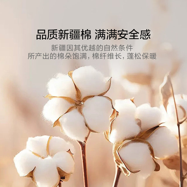 Luolai Home Textiles cotton quilt Xinjiang cotton quilt pure cotton quilt cotton batting spring and autumn quilt core thickened winter quilt four seasons