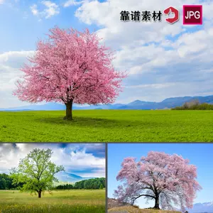 四季风景壁纸 新人首单立减十元 22年10月 淘宝海外