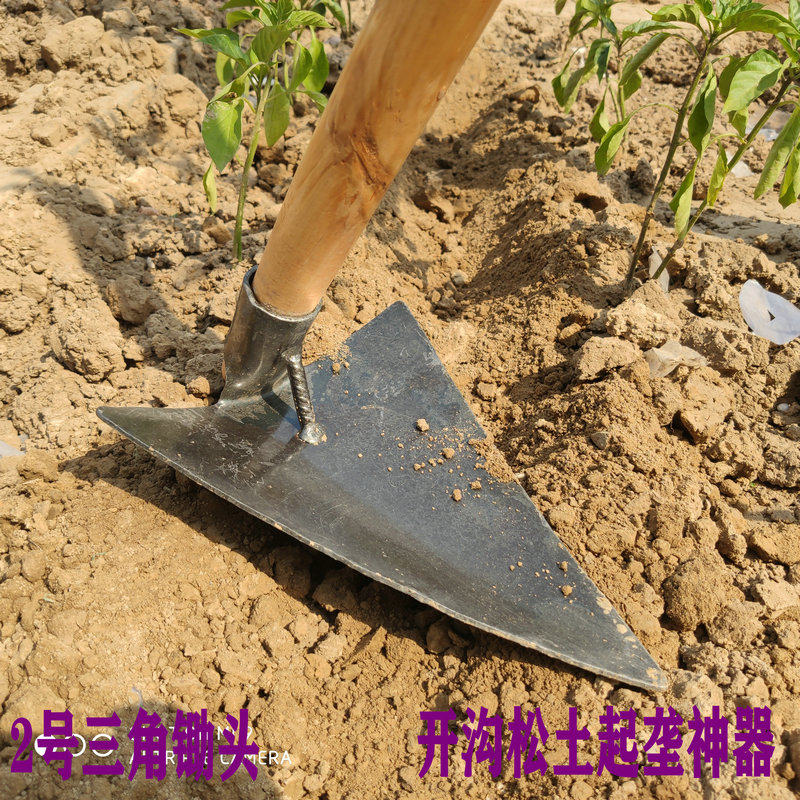 Azada Triangular Zhaoyitools - Azada Plana de Acero para Jardinería y ...