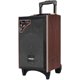 Temeson A8-24 Outdoor high-power square dance lever mobile sound zone wireless microphone K song Bluetooth speaker
