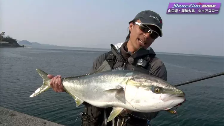 Palms小椰树路亚竿shore Gun岸投铁板杆远投根 Palms小椰树路亚竿shore Gun岸投铁板杆远投根