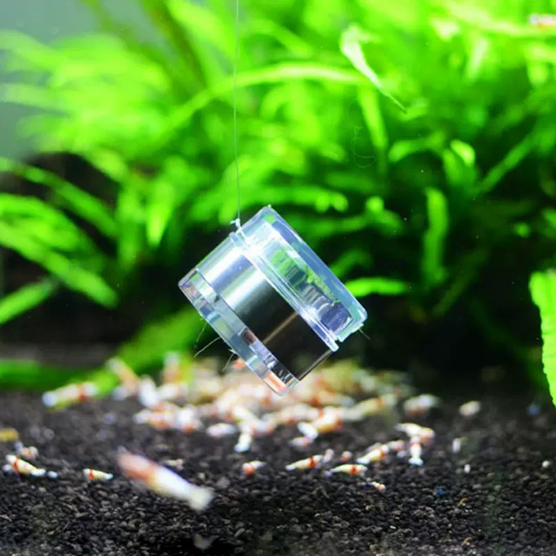 水蛭涡虫诱捕器水草鱼缸清洁护理保护水晶虾黑壳草虾
