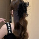 Cat Ear Feather Clip Women's 2025 New Super Fairy Pure Desire Hair Clip Back of Head Hair Shark Clip Headwear Hair Clip