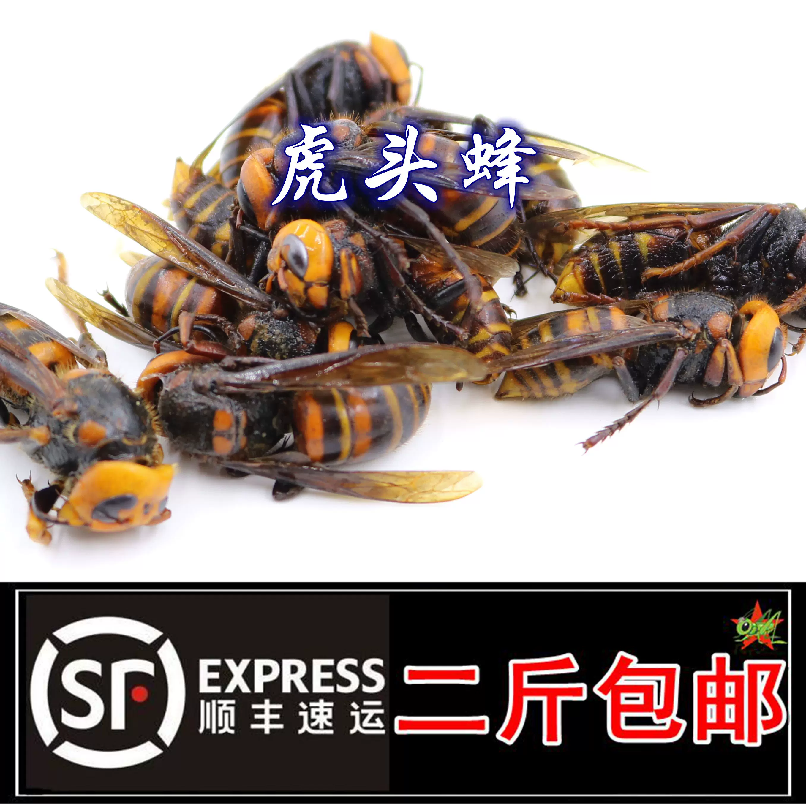 虎头蜂-新人首单立减十元-2021年12月淘宝海外