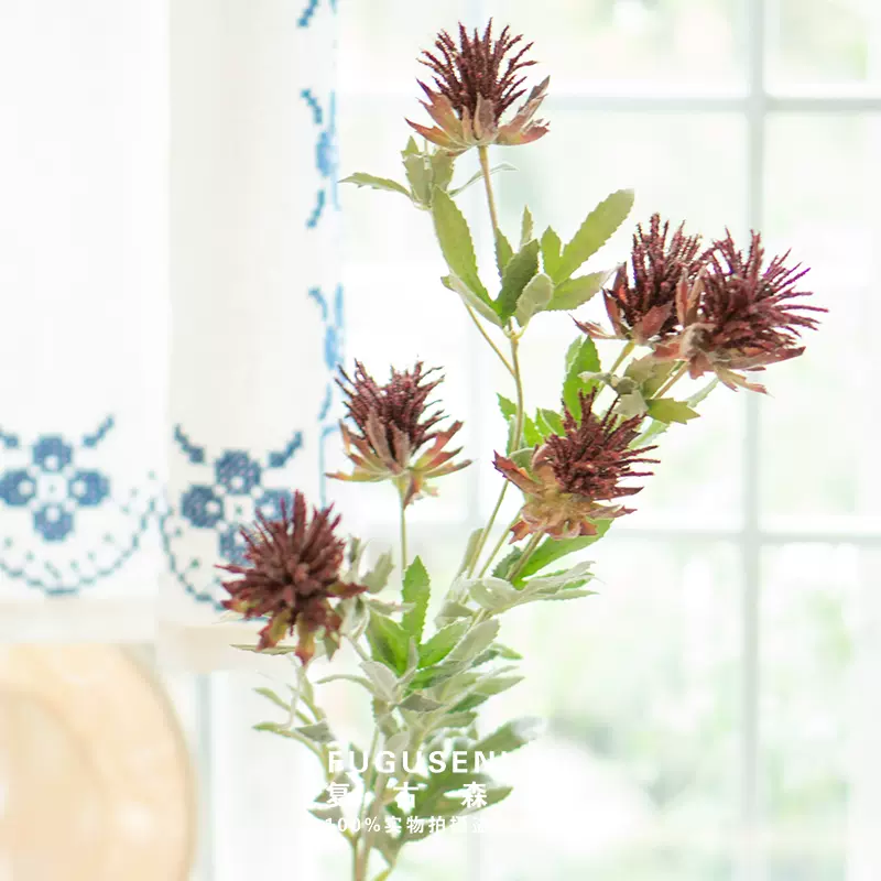 刺芹花 新人首单立减十元 21年11月 淘宝海外