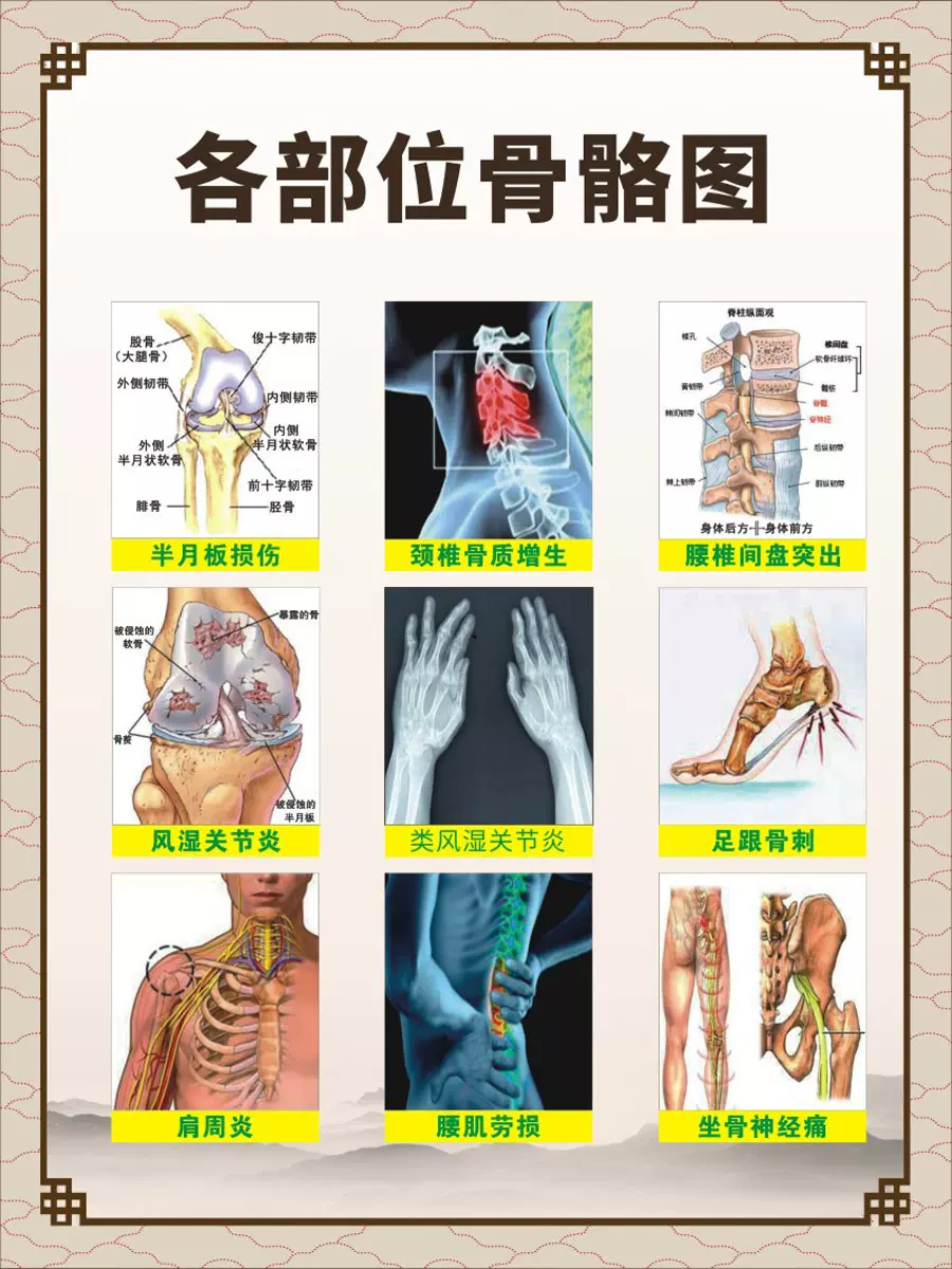 人體部位結構圖 新人首單立減十元 21年11月 淘寶海外