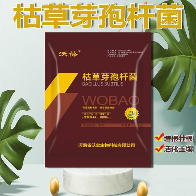 Bacillus subtilis organic vegetable soil improvement bacteria agricultural disease control fertilizer planting single microbial bacteria