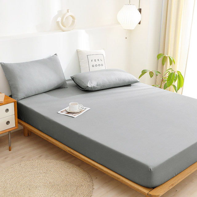 Fitted sheet cover single piece 2025 new four-season universal non-pure cotton dust-proof and dirt-proof bed cover mattress protector winter