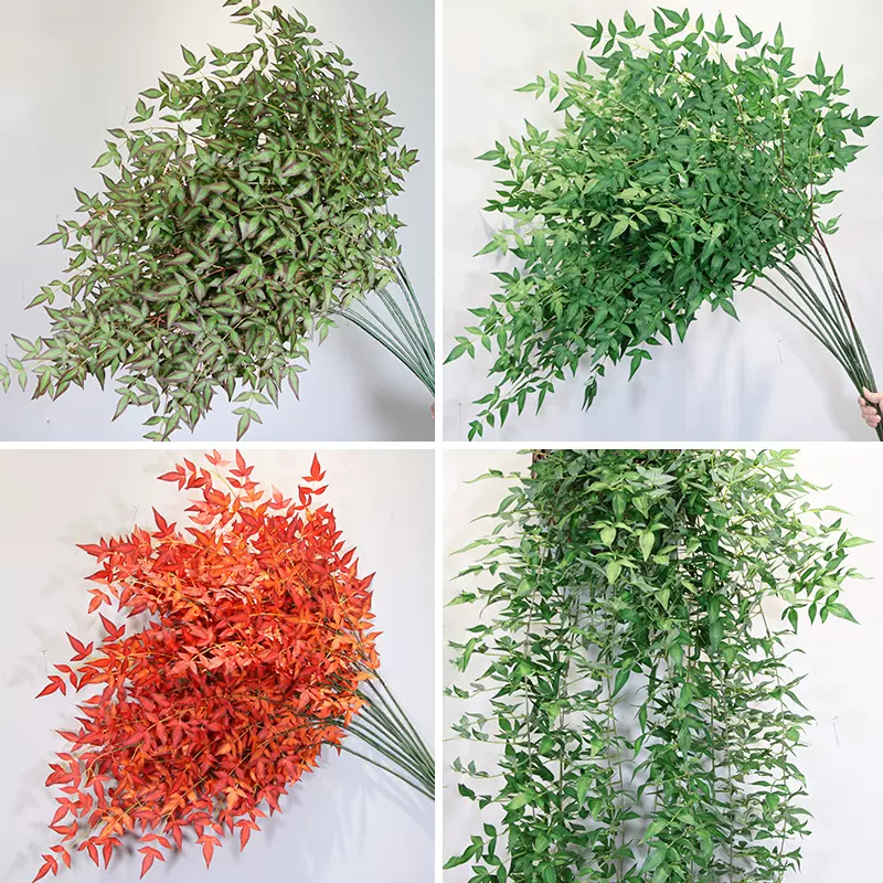 南天竹插花 新人首单立减十元 21年11月 淘宝海外 南天竹插花 新人首单立减十元 21年11月 淘宝海外