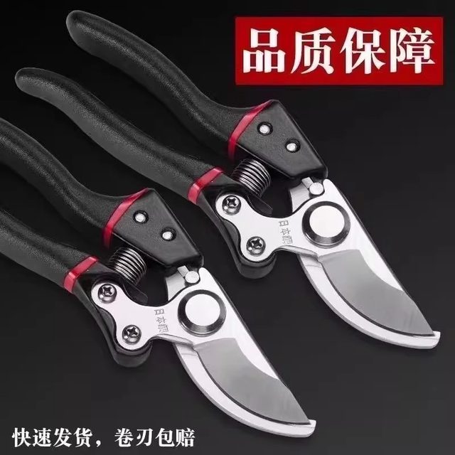 Pruning shears gardening and cutting branches and fruit trees special scissors pruning flowers, fruits, woods, grapes and scissors tools