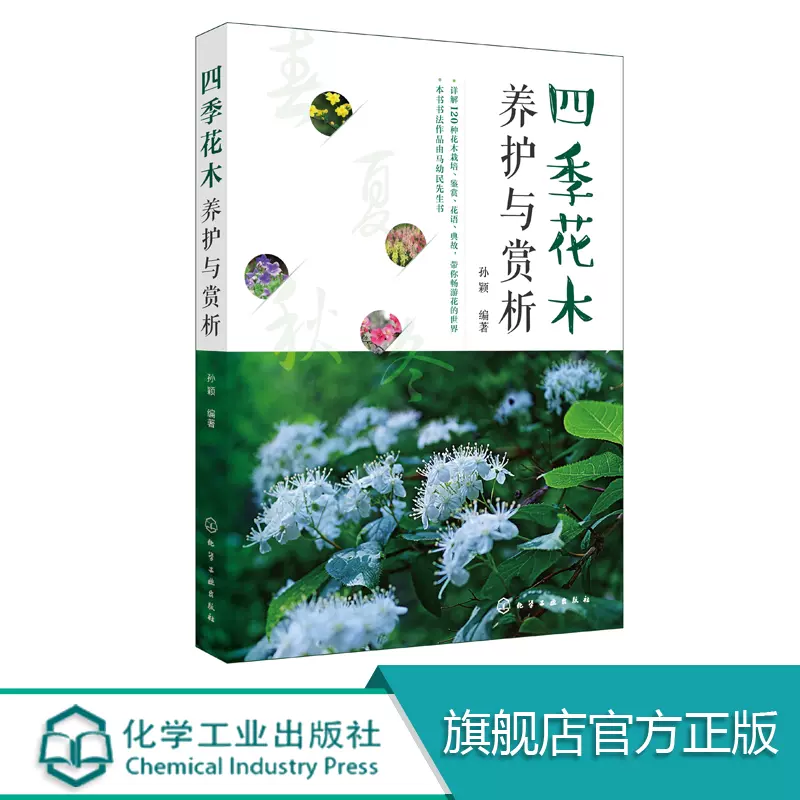 花草树木植物盆栽 新人首单立减十元 21年10月 淘宝海外