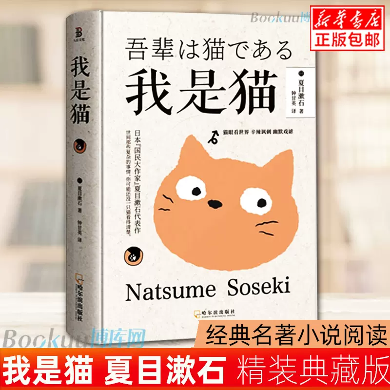 我是猫鲁迅 新人首单立减十元 22年1月 淘宝海外