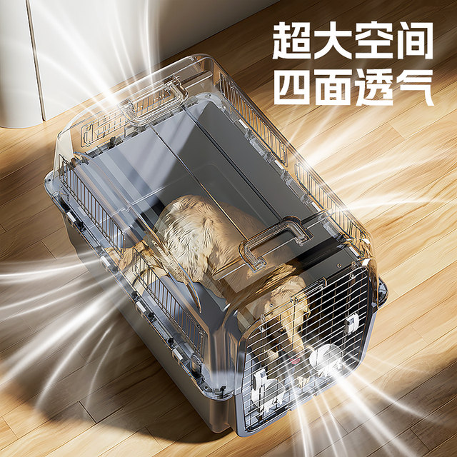 Cosignment Box Air China Aviation Box Pet Cat Portable Corporation Consignment Box