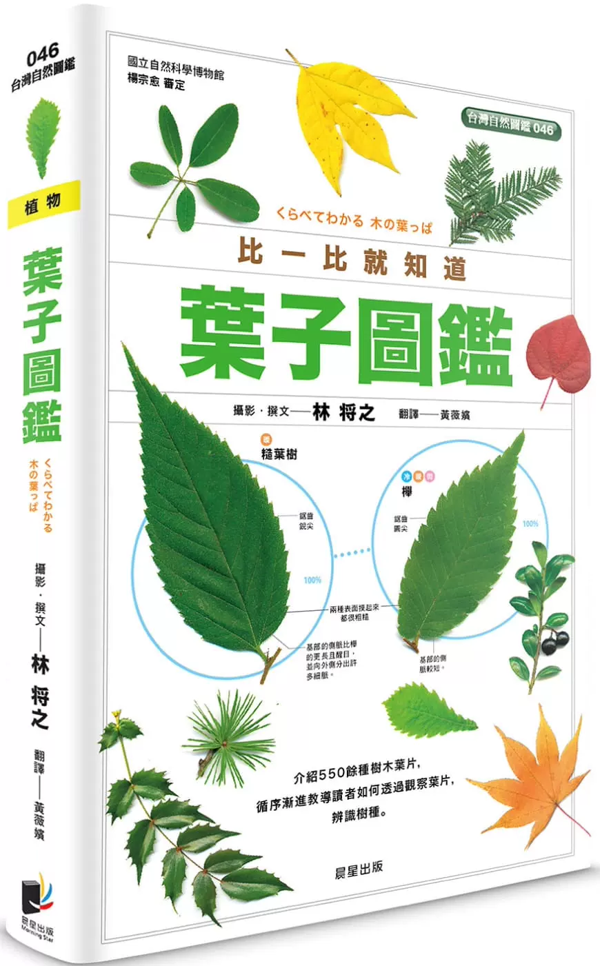 植物名称 新人首单立减十元 21年11月 淘宝海外