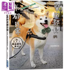 京都柴犬 新人首单立减十元 22年3月 淘宝海外