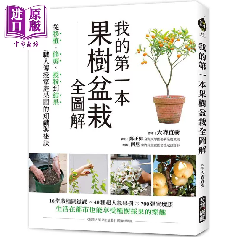 家庭果树盆栽 新人首单立减十元 21年10月 淘宝海外