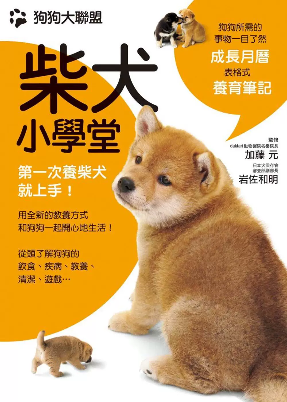 柴犬堂 新人首单立减十元 21年11月 淘宝海外