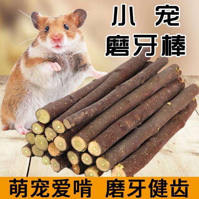 Hamster molar stick drying apple branches chinchilla guinea pig guinea pig rabbit small pet universal wood chewing molar fruit branch