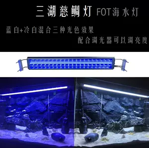 海水魚燈 新人首單立減十元 22年10月 淘寶海外