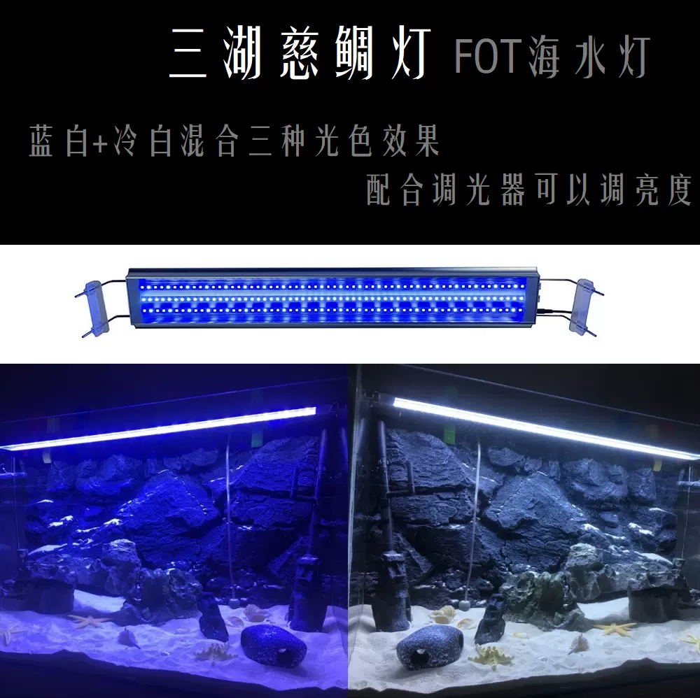 中瑞特三湖慈鯛魚燈專用燈fot海水燈藍白