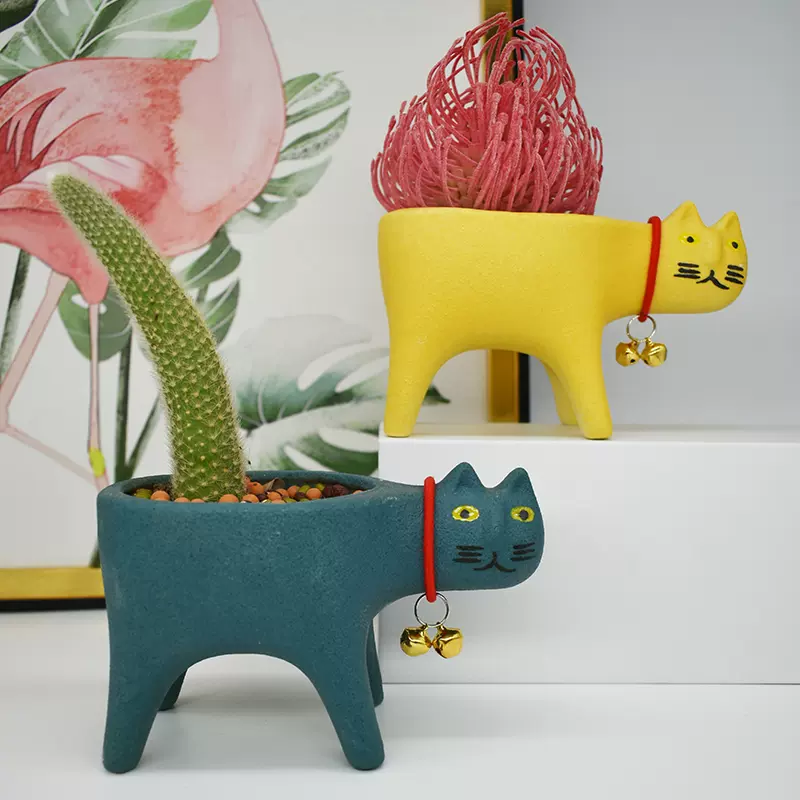 猫尾仙人掌盆 新人首单立减十元 21年11月 淘宝海外