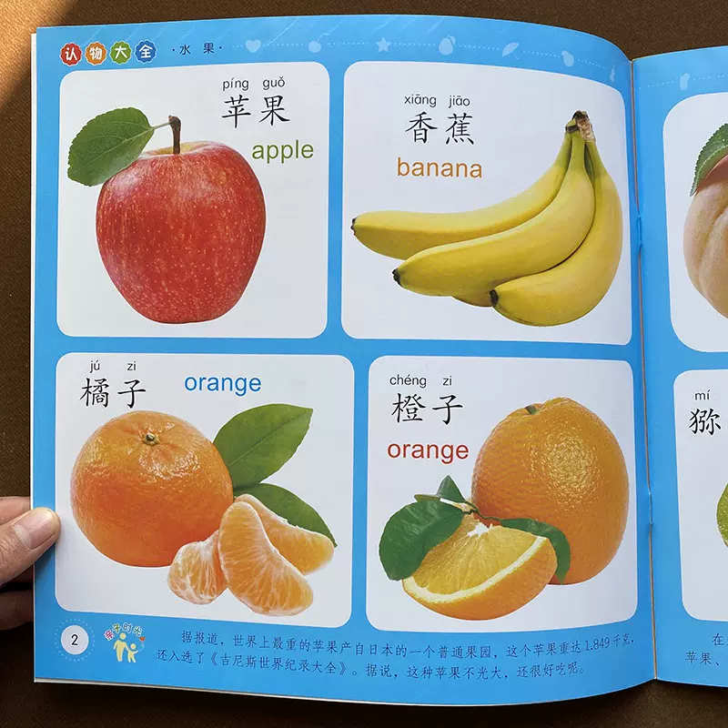 大图大字水果蔬菜认知书水果儿歌幼儿童宝宝0 2 3