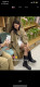 JolieJuly MMT genuine fever windbreaker jacket makes you look slim and loose
