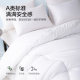 Mercury Home Textiles Winter Quilt Dormitory Single Warm Quilt Winter Quilt Core Two-in-One Quilt Bedding for All Seasons