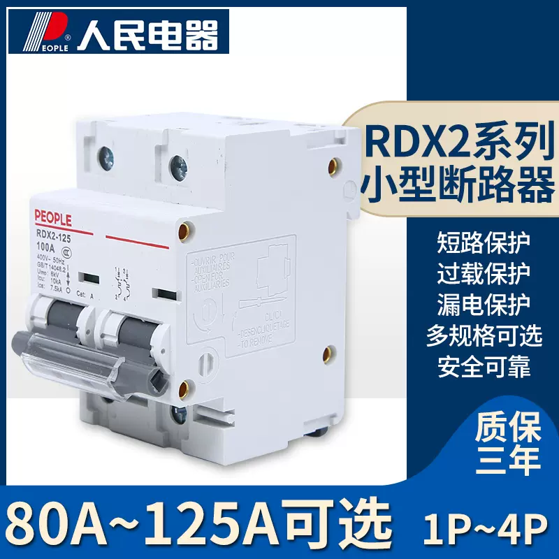 人民电器集团RDX2-125型1P2P3P4P80A100A125A 小型断路器空气开关
