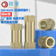 Copper inlays Injection molded copper nuts Copper embedded parts Copper knurled nuts Copper flower nuts