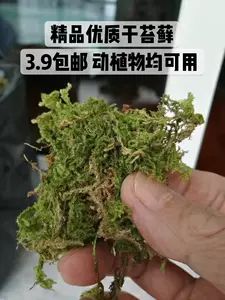 苔藓蛇 新人首单立减十元 22年7月 淘宝海外