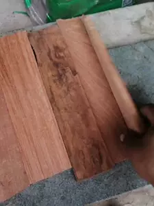 低価格 54 花梨木台 工芸品 工芸品 アンティーク コレクション 10 350 Ccg Org Br