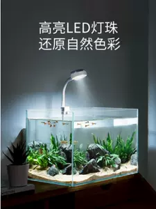 夹款照明灯 新人首单立减十元 22年3月 淘宝海外