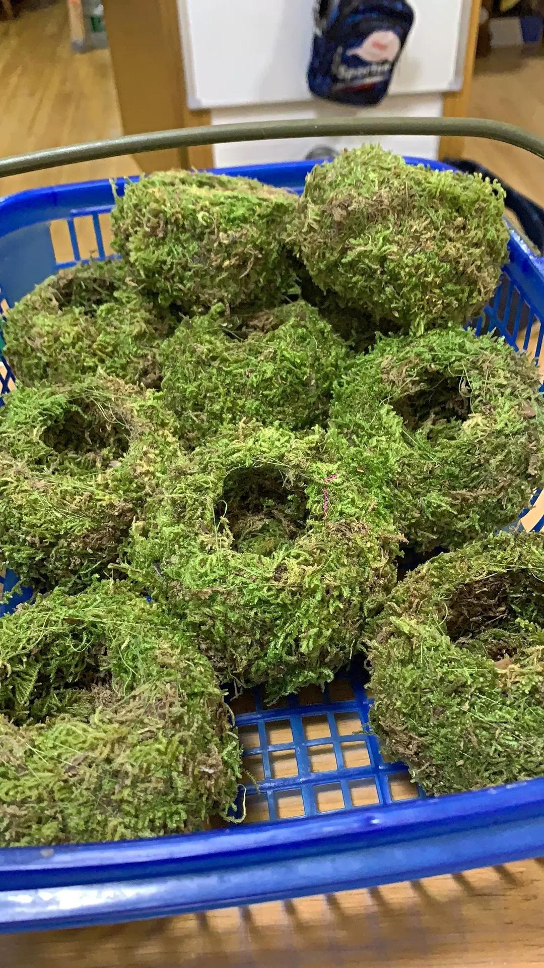 苔玉植物 新人首单立减十元 21年11月 淘宝海外