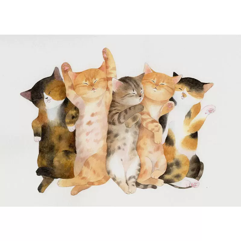 猫熟睡 新人首单立减十元 21年12月 淘宝海外