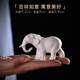 Creative Ceramics Animal Elephant Small Slows Home Horticultural Basin DIY Micro Landscape Scenery Decoration Accessories
