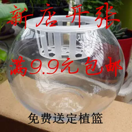 透明玻璃圆球花盆瓶养鱼水生植物花盆鱼缸圆球