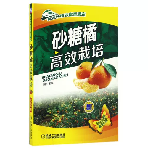 砂糖车 新人首单立减十元 22年2月 淘宝海外