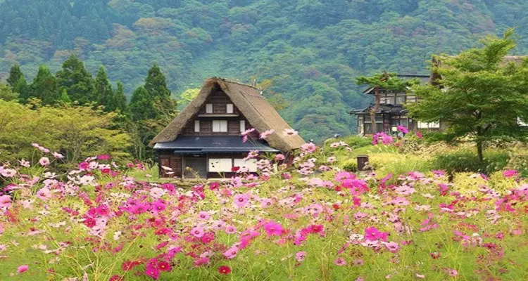 锦怡花海小镇