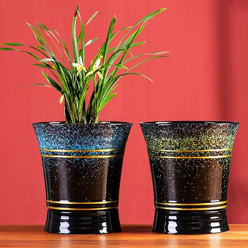 植物盆栽盆器陶瓷 新人首单立减十元 22年2月 淘宝海外
