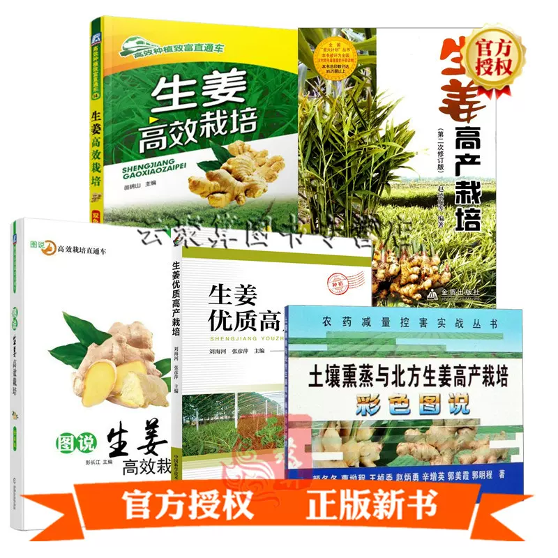 生姜种植技术 新人首单立减十元 21年10月 淘宝海外