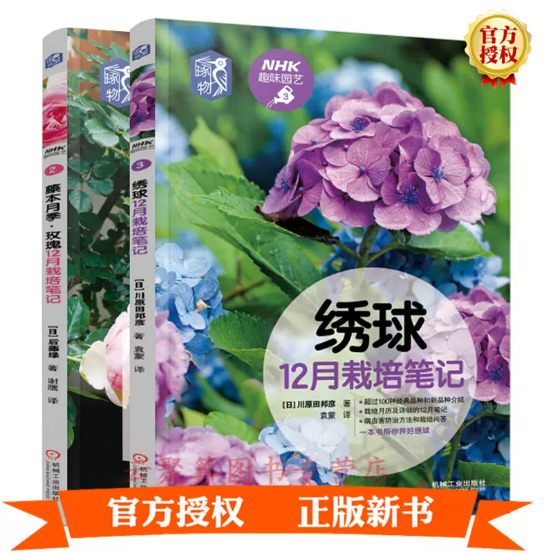 藤本月季玫瑰花 新人首单立减十元 21年11月 淘宝海外