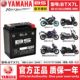 Suitable for Yamaha NMAX155 NVX155 XMAX300 NMAX155 MT03 R3 R25 battery