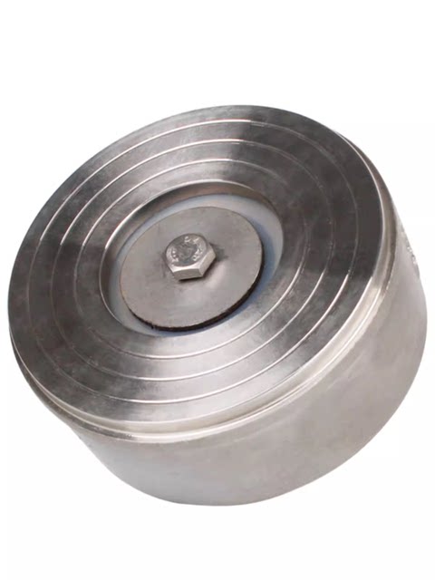 304 stainless steel wafer type soft seal check valve H71W-25P spring PTFE soft seal check valve DN50