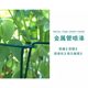 Flower support frame Money tree plant semicircular flower bracket anti-looping support rod Monstera tiger skin orchid leaf protection frame