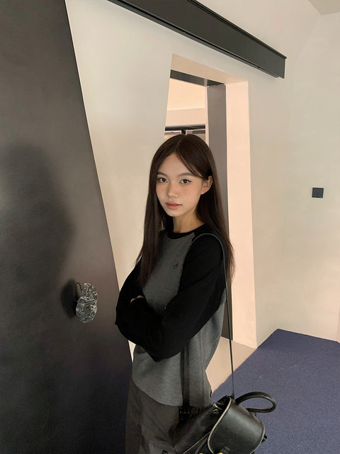 AYUESTUDIO Homemade Black and Gray Color Bundle Embroidered Top T-shirt All-matched and Fit Casual 2023 Autumn