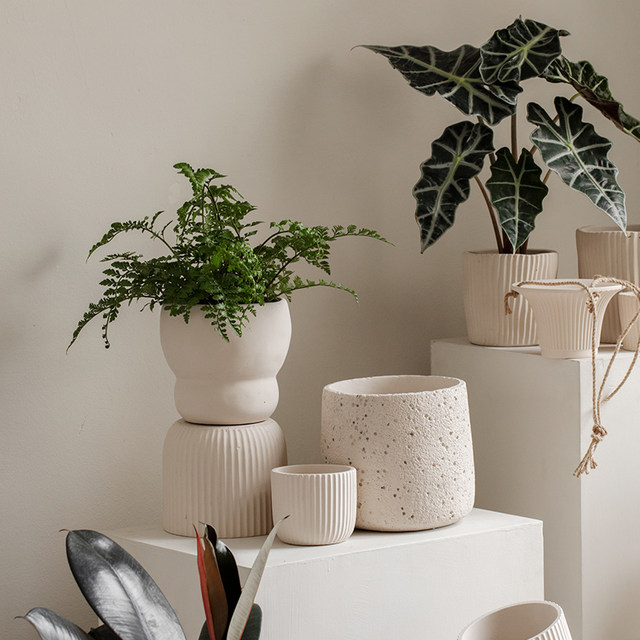 Export simple creative personality large-diameter cement flower pot Internet celebrity green plant potted green radish succulent wabi-sabi flower pot