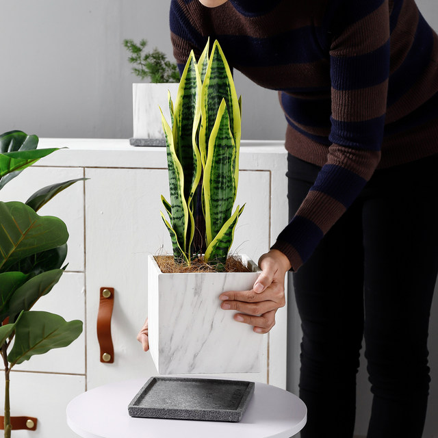 Ceramic flowerpot Nordic style simple succulent marble succulent tulip butterfly orchid creative square flowerpot