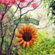 Genuine courtyard garden layout welcome sign sunflower balcony garden gardening wall landscaping wall fence decoration pendant